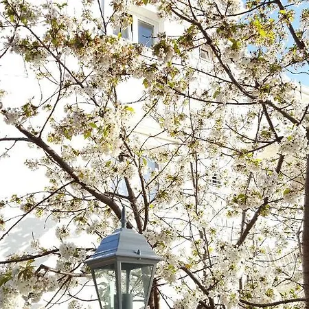 Ruzarija Apartament *