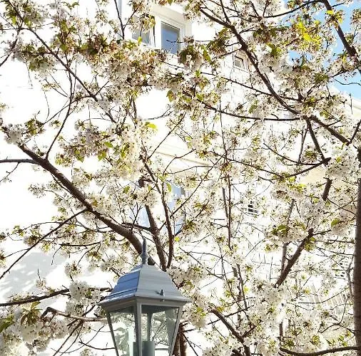 Ruzarija Διαμέρισμα *